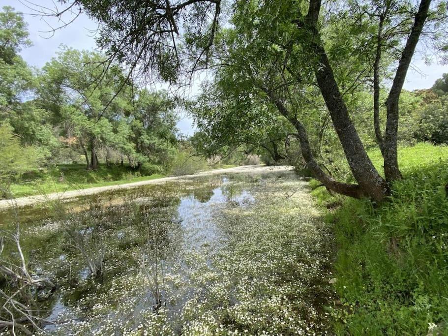 Finca La Alcolehuela En Parque Natural De Despenaperros Santa Elena Kültér fotó