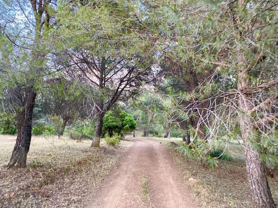 Finca La Alcolehuela En Parque Natural De Despenaperros Santa Elena Kültér fotó