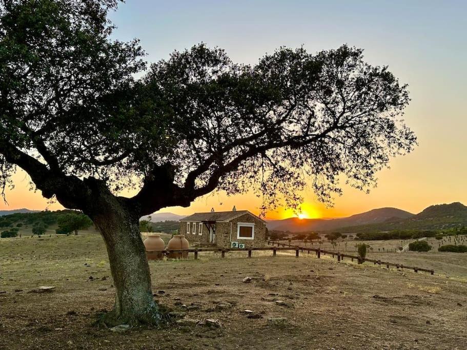 Finca La Alcolehuela En Parque Natural De Despenaperros Santa Elena Kültér fotó