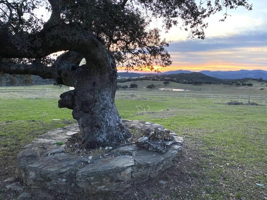 Finca La Alcolehuela En Parque Natural De Despenaperros Santa Elena Kültér fotó