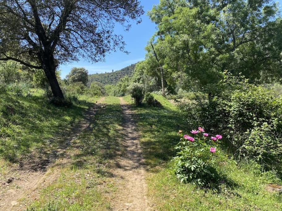 Finca La Alcolehuela En Parque Natural De Despenaperros Santa Elena Kültér fotó