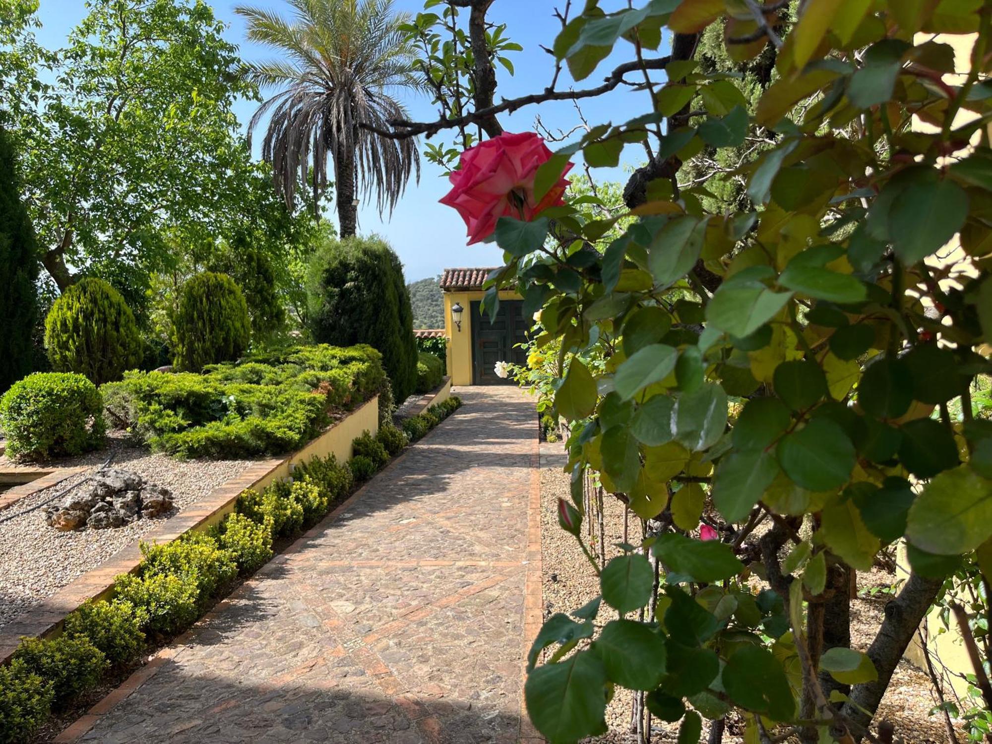 Finca La Alcolehuela En Parque Natural De Despenaperros Santa Elena Kültér fotó